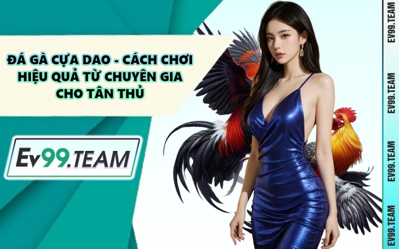 Đá Gà Cựa Dao - Cách Chơi Hiệu Quả Từ Chuyên Gia Cho Tân Thủ